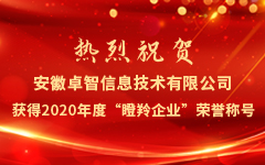 熱烈祝賀安徽卓智信息技術(shù)有限公司獲得2020年度“瞪羚企業(yè)”榮譽(yù)稱(chēng)號(hào)