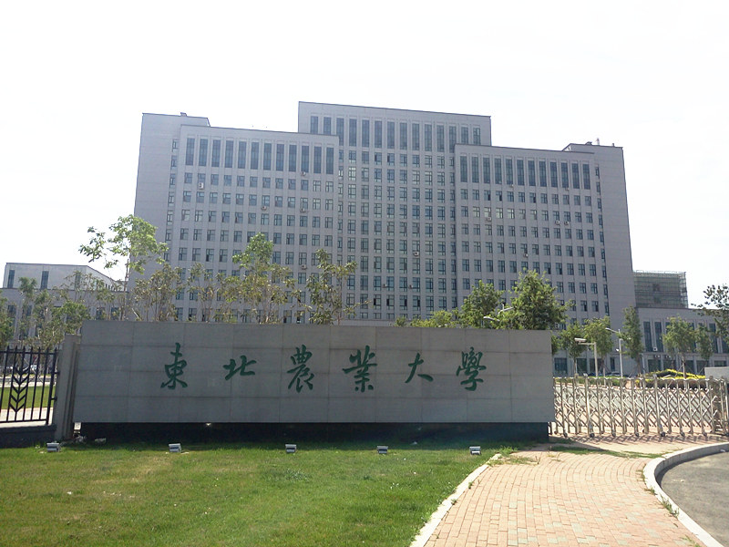 東北農業大學_副本_副本.jpg 東北農業大學_副本_副本.jpg